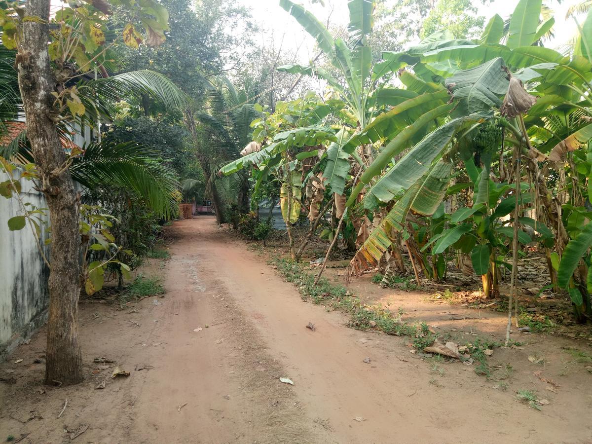 Agape Marari Apartment Mararikulam Luaran gambar