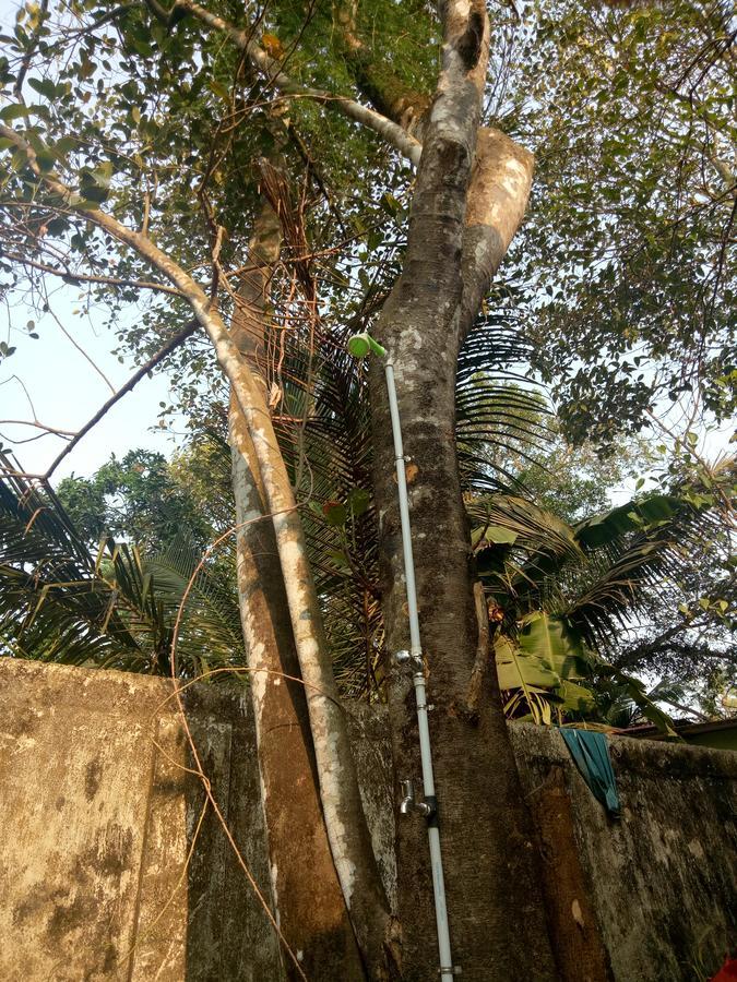 Agape Marari Apartment Mararikulam Luaran gambar