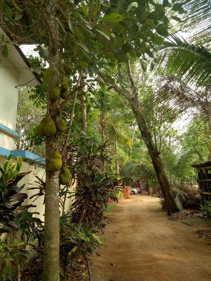 Agape Marari Apartment Mararikulam Luaran gambar